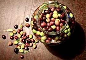 Una raccolta di olive: Olive da tavola