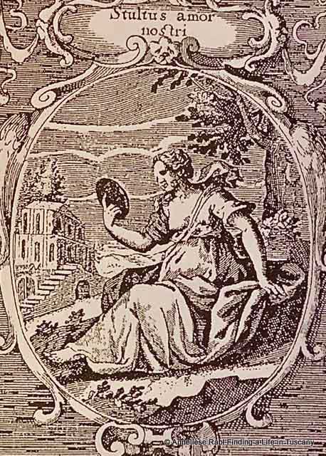 Middle age image of a woman looking into a mirror.