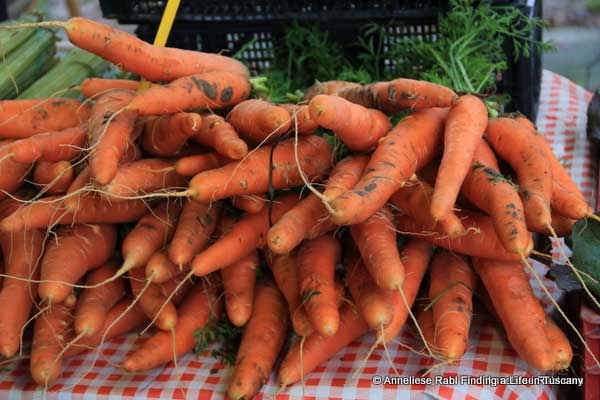 Farmer carrots 