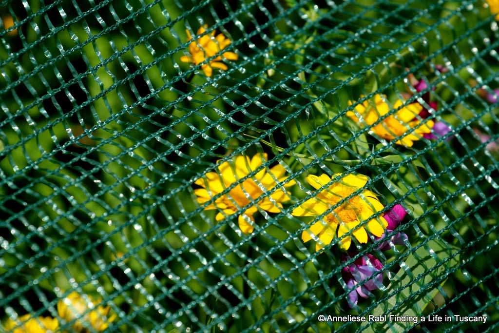 yellow flowers under olive net