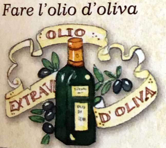 Olive oil bottle