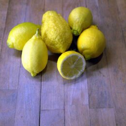 Lemons in different size and shape