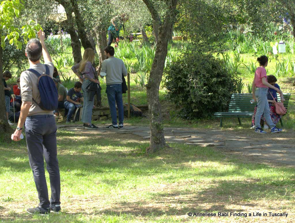 Tourists in iris garden Florence