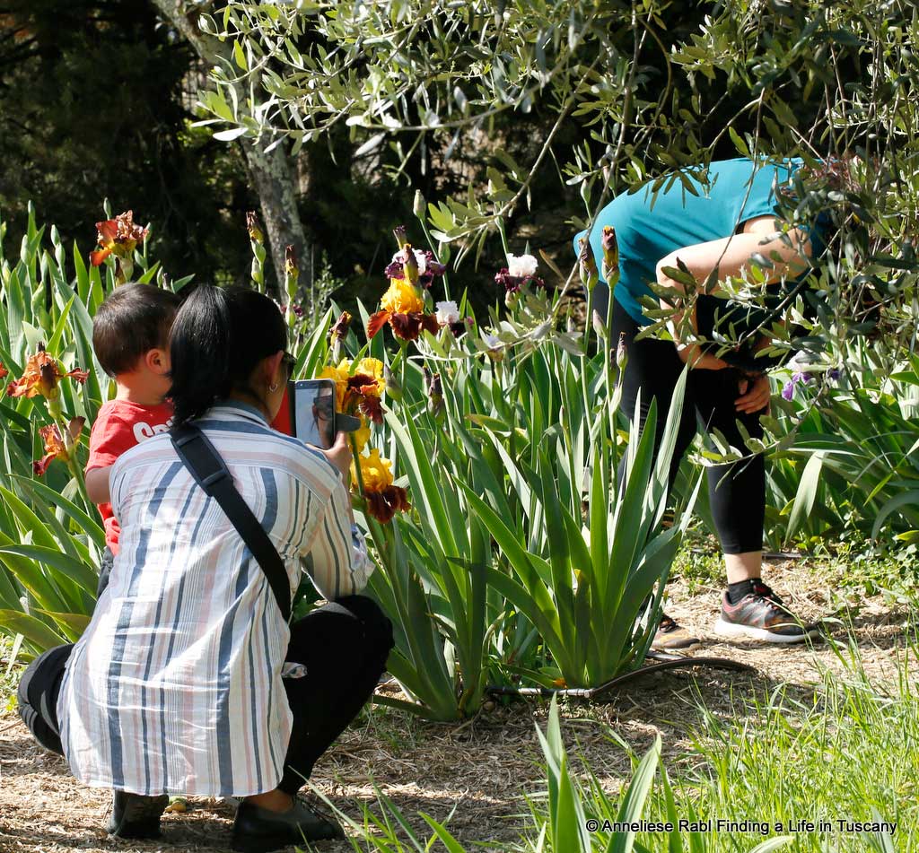 Tourists in Florence iris garden. 